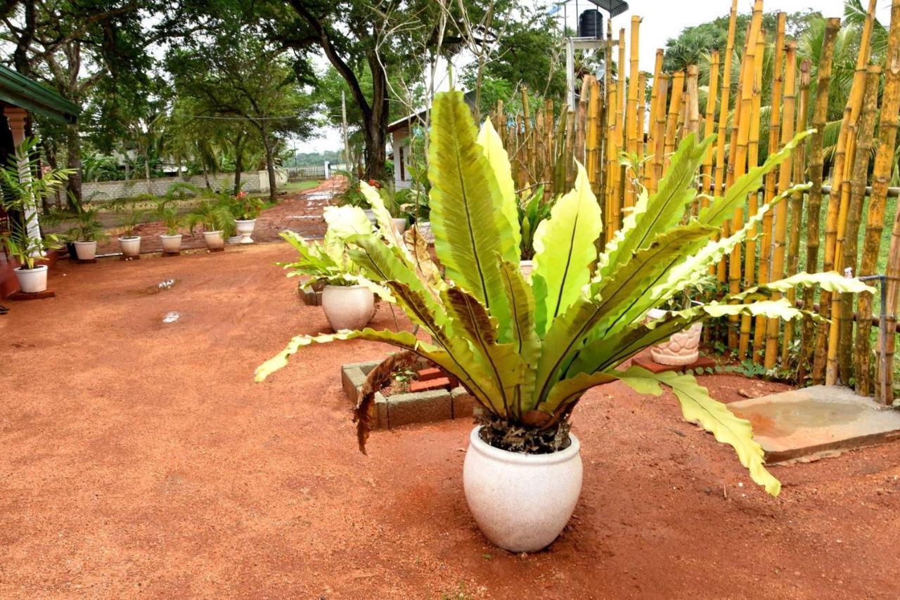 Dula Lake Resort Anuradhapura Exteriör bild