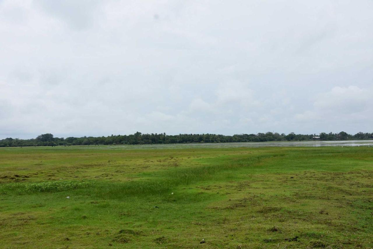Dula Lake Resort Anuradhapura Exteriör bild