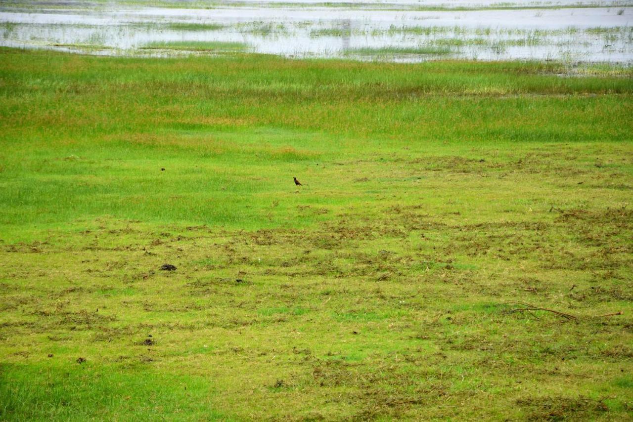 Dula Lake Resort Anuradhapura Exteriör bild